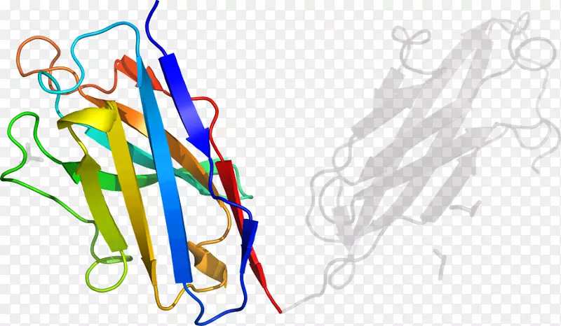 �ߵ������-��-������