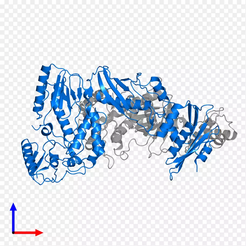 �ߵ������-��-������