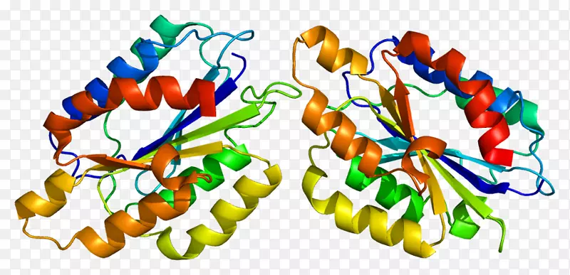 �����鱦�߼�������-������