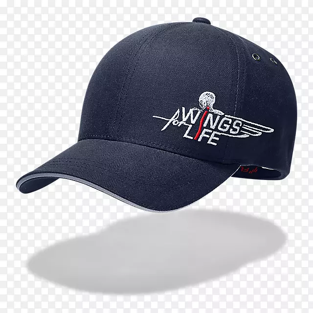 ��ţ���ٶ�Ϊ����ְҵ����ñ�����ĳ��-������