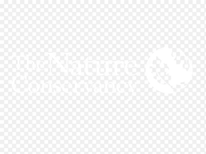 ���ϴ�˹��װ�������Ь���ϴ�˹-������