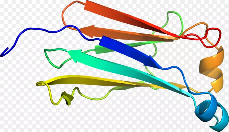 �ߵ������-��-������