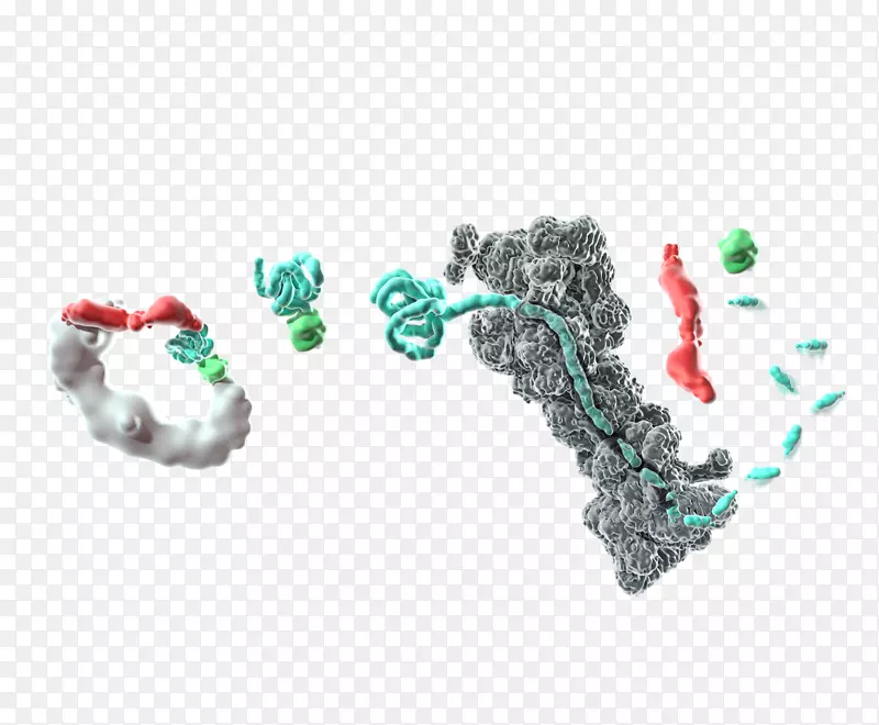 �����鱦����-�鱦-������