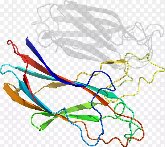 �ߵ������������-������