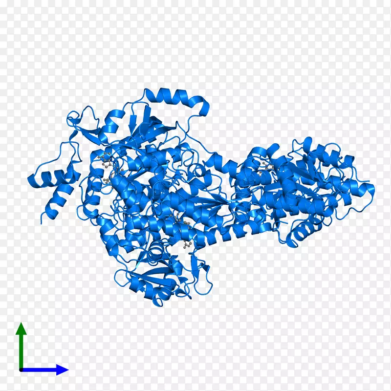 �ߵ�������-������