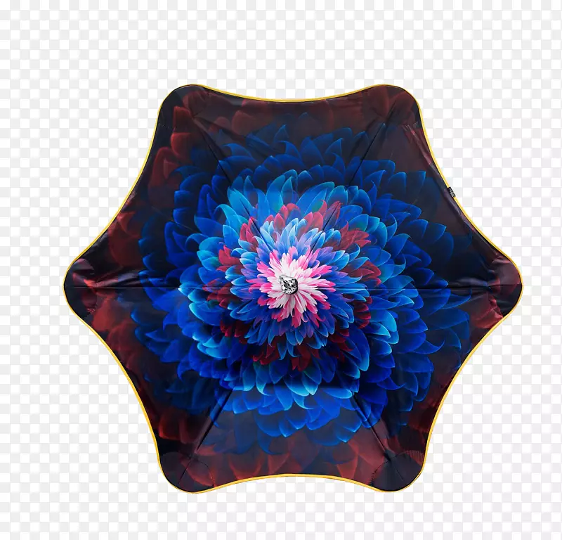 ��ɡ��ŷ�ָ��߻����ʦ��ά̩��-̫��ɡ-������