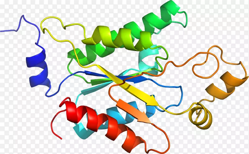 �ߵ������������-������