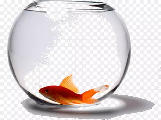 �����;���.����ֽ-������