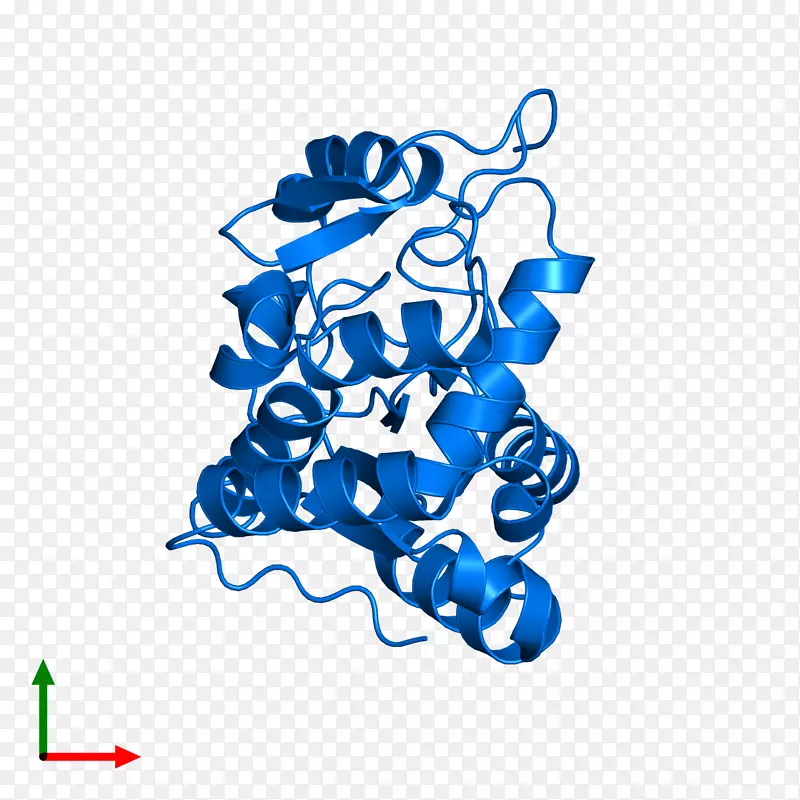 �ߵ������-��-������