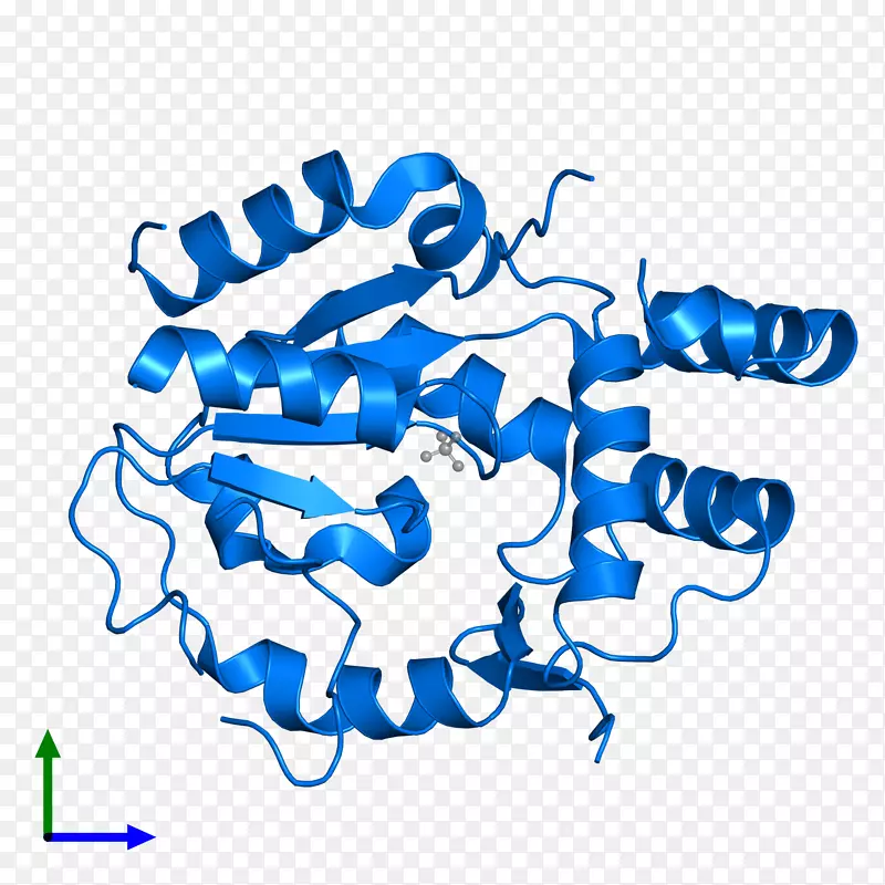 �ߵ������-��-������