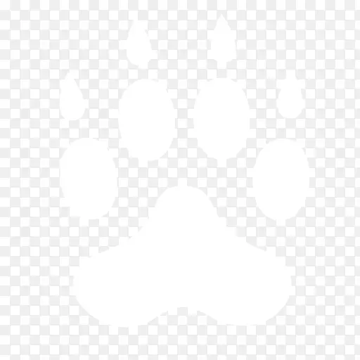 ���ϴ�˹��װ�������Ь��ӡ��ͼ��-������