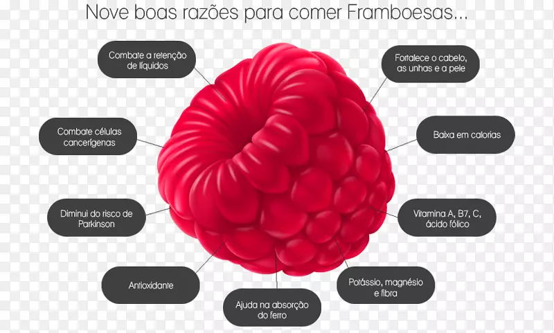 �������������ӷ�ζ���-������