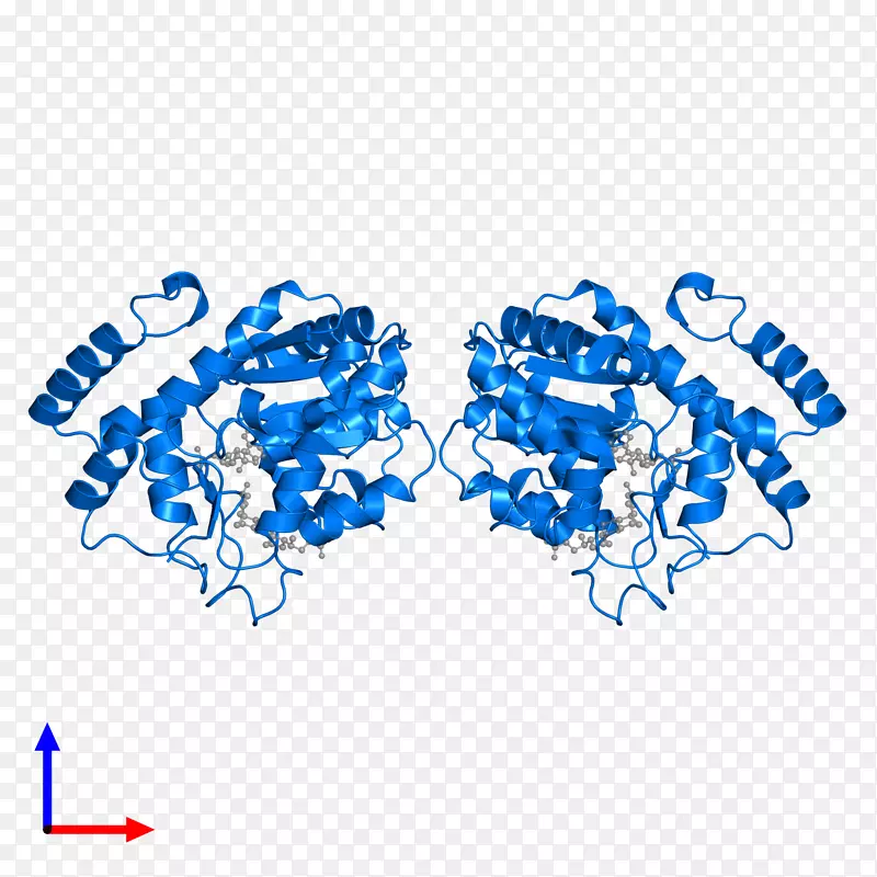 �̱��������-������