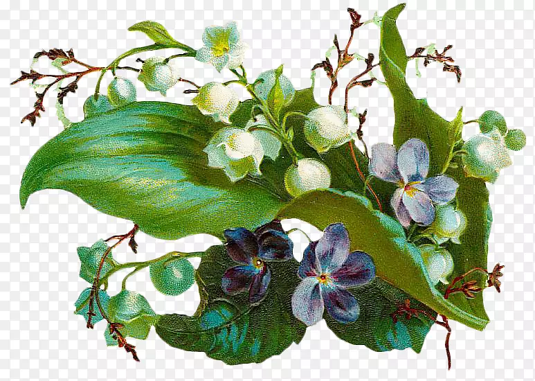 �������������������-���Ż���ֲ��-������