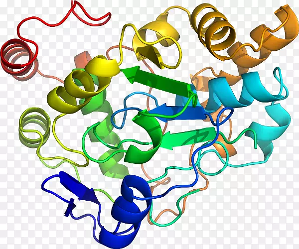 �����鱦�л�������������.�鱦-������