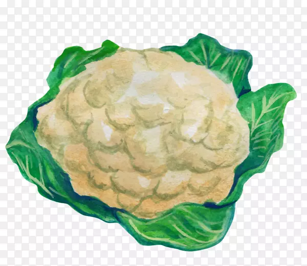 ������Ҷ�߲�-���Ĳ�-������