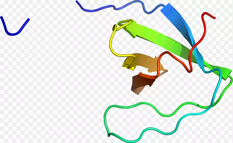 �ߵ������-��-������