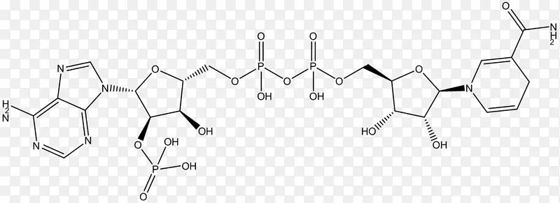 ��װ�������ǰ�ɫʱ��-������