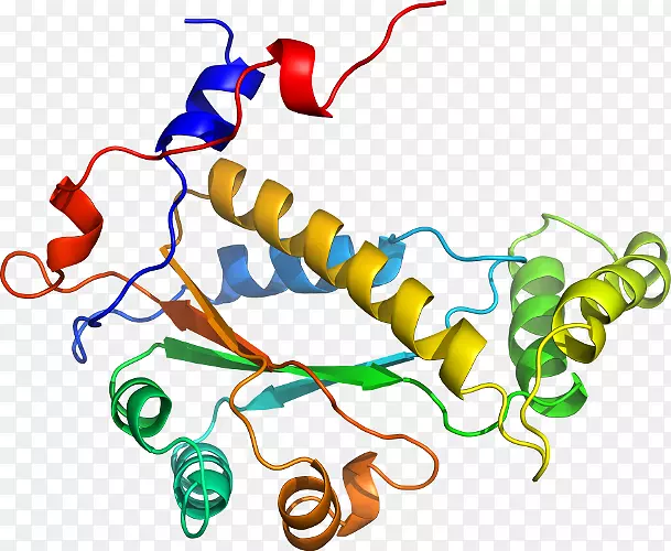 �ߵ������������-������