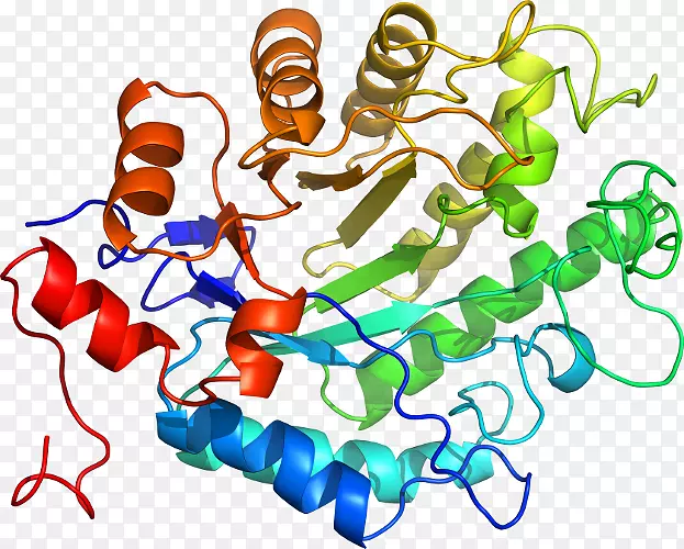 �����鱦�л�������������.�鱦-������