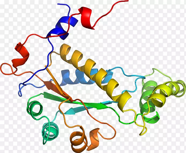 ���������л����߼�������-������