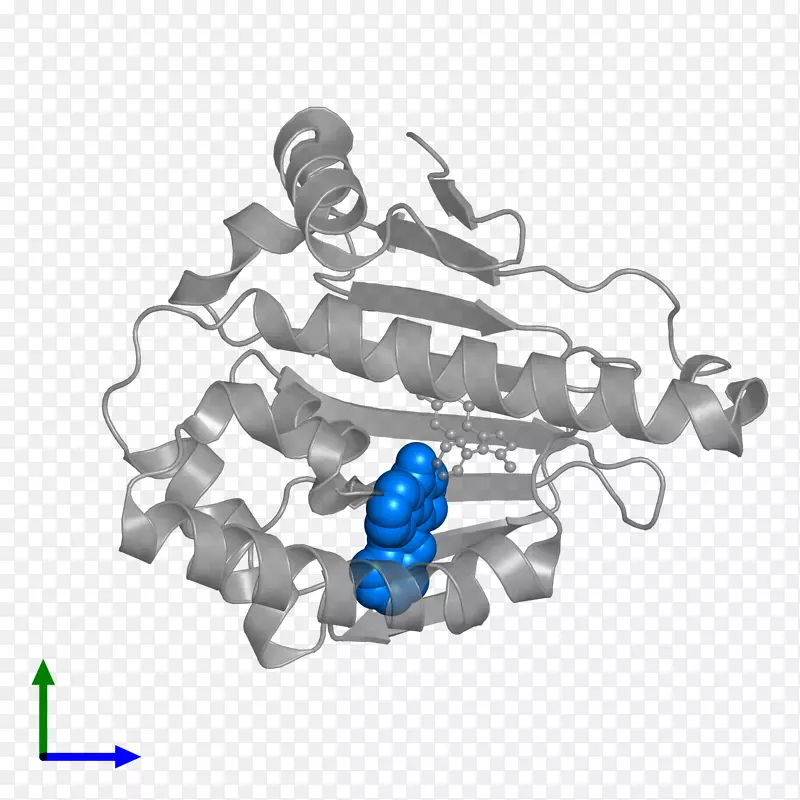 ��������.���-������