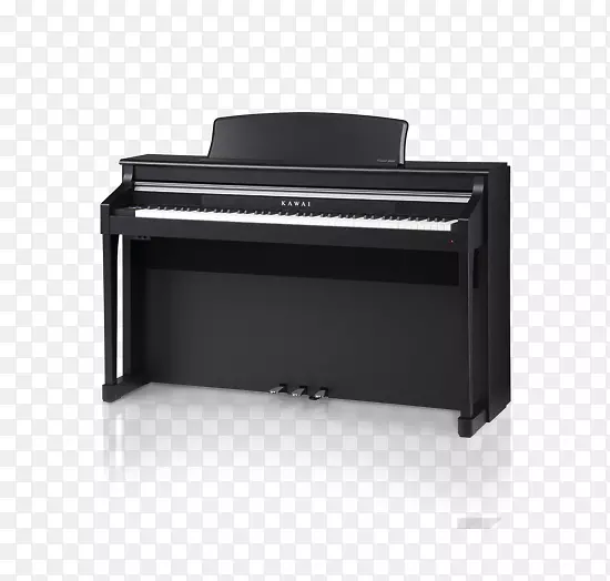 ���ָ���-��������-����-������