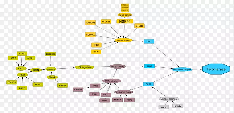 ֱ�߽���-������