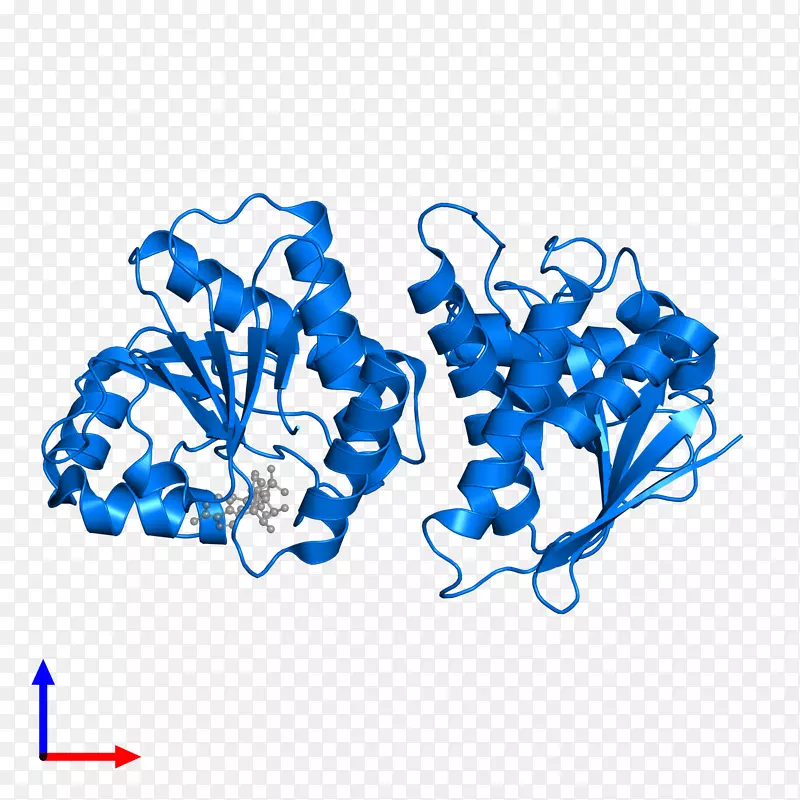 �л����߼��������-������