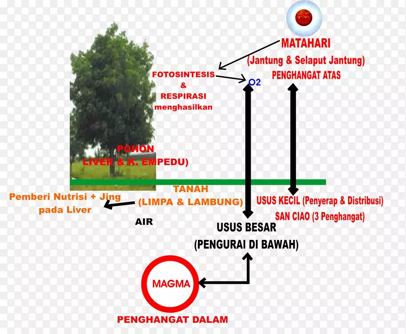 ����ķ���ҽ�Ʒ���ѧԪ�ؿ�ѧ����-��ѧ-������