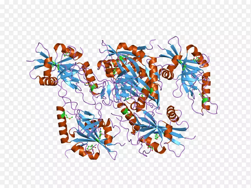 �ߵ������-��-������