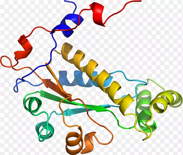 ���������л����߼�������-������