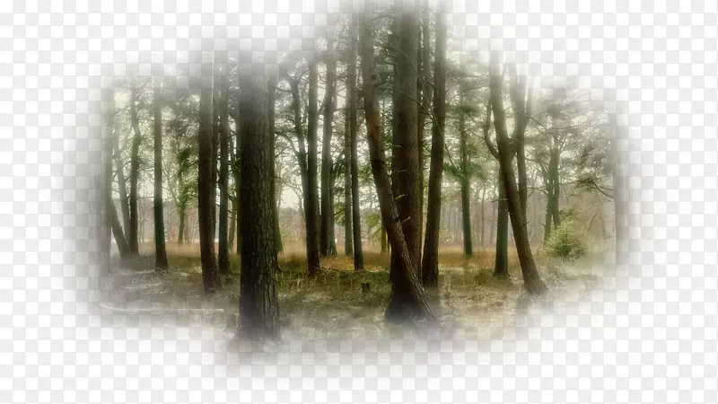 �����ֽ��ʾ�ֱ��ʸ�����Ƶ����ʾ���������-������