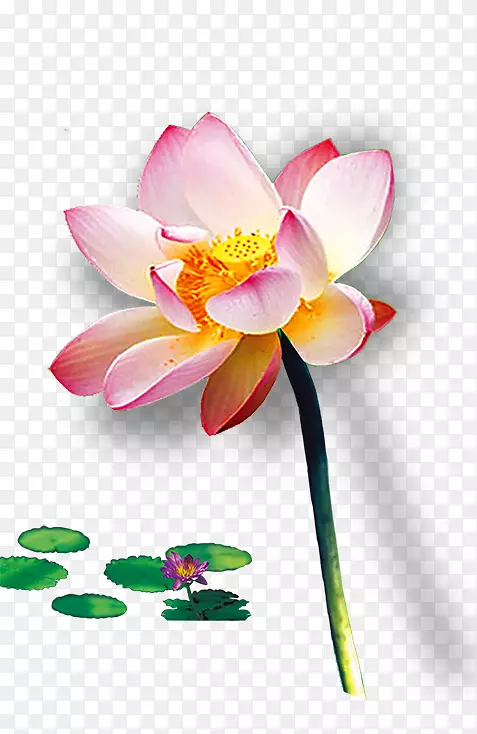 ��ź-������