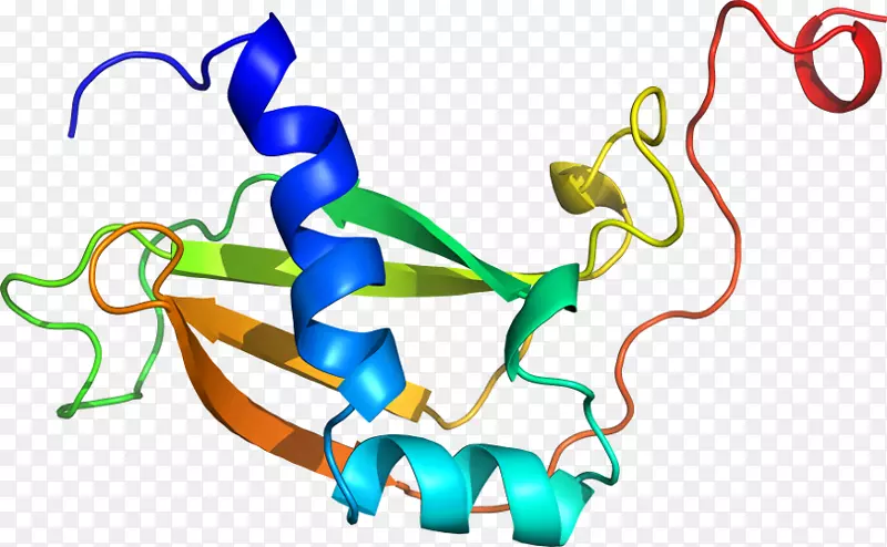 ����ƽ����Ƶ��������-������