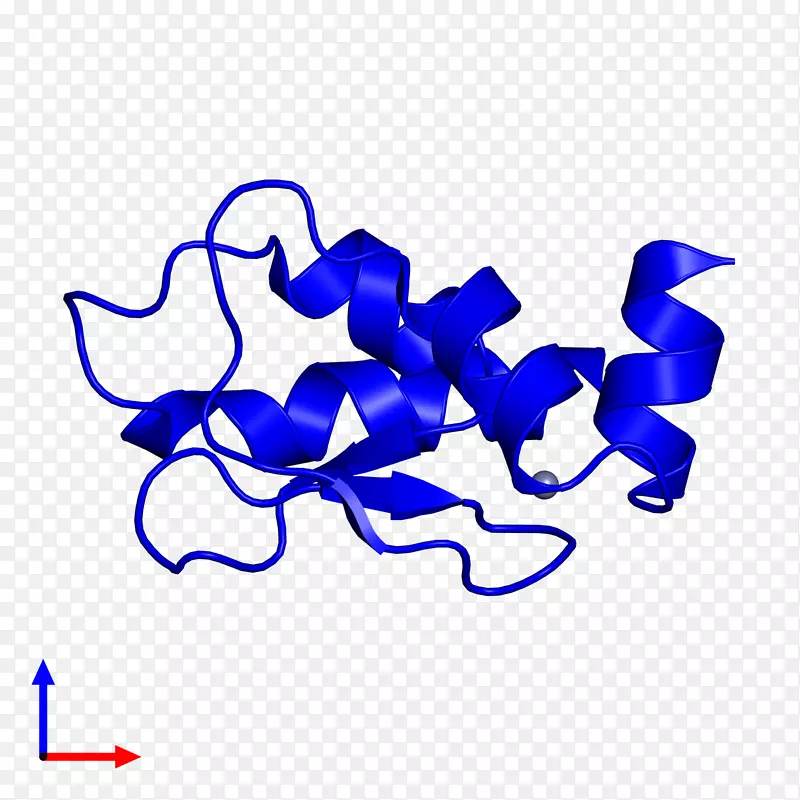 �ߵ������������-������