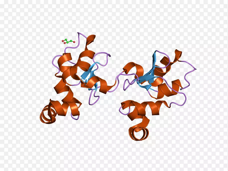 �����ֽ�����л��������-����-������