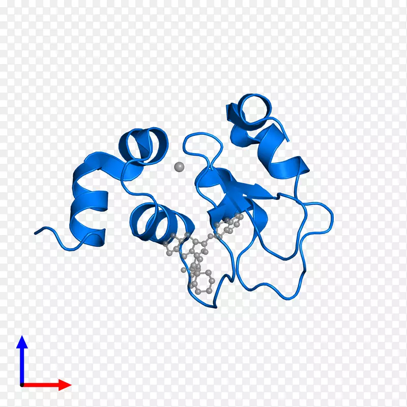 �ߵ������������-������