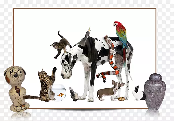 ���￴�ܹ����֧�ֶ�������ﹷ-������