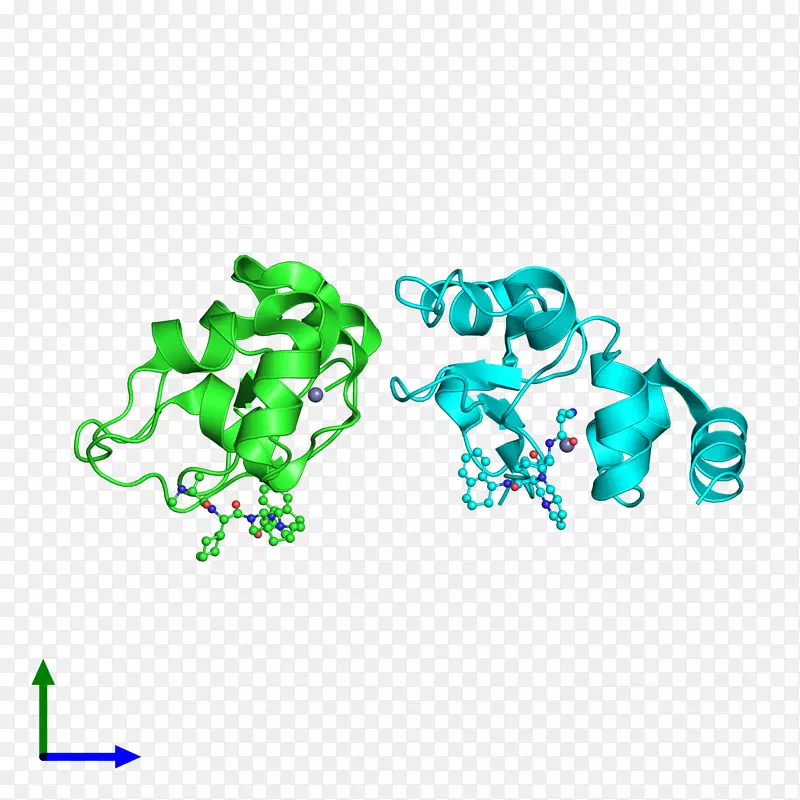 ����Ʒ����.���-������