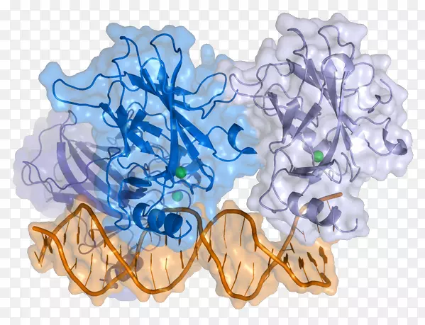 p5 3ϸ�������򵰰�-������