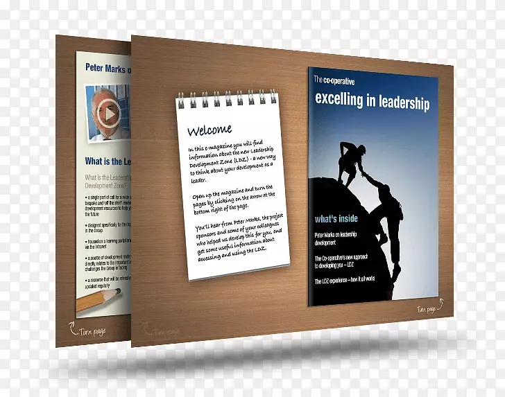 �쵼��չ������֯�����о�-������