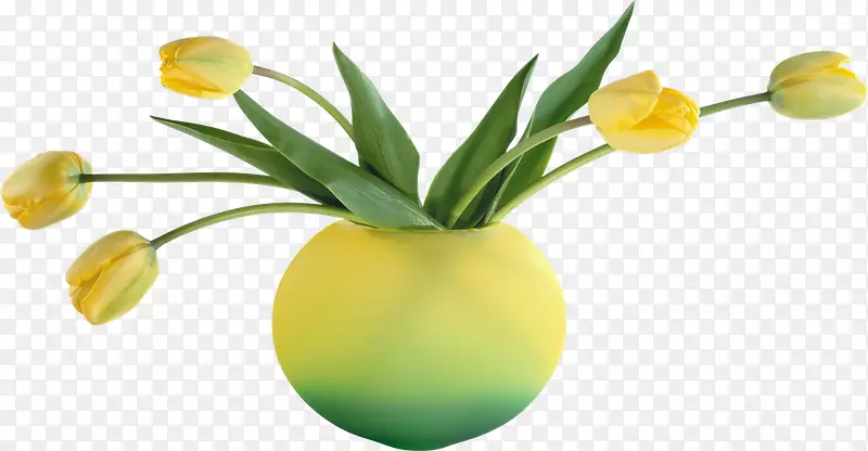 ��ƿ������廨������ƿ-������