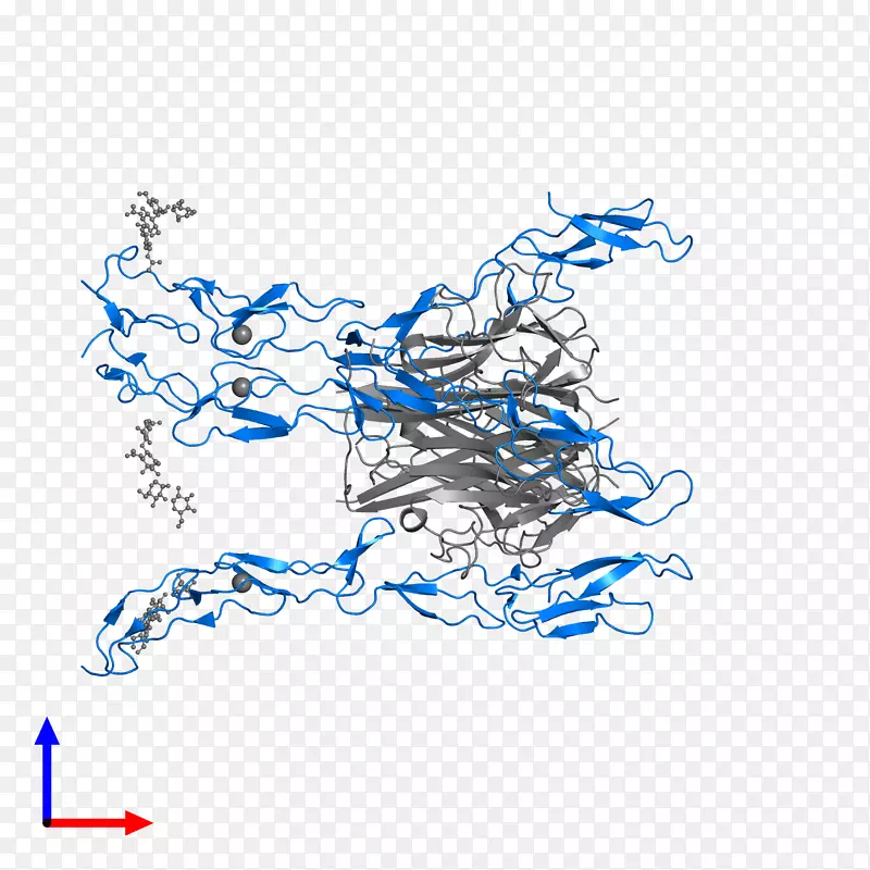 �ߵ������-��-������