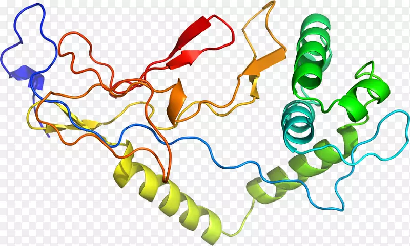 �ߵ������������-������