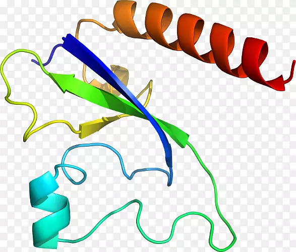 �ߵ������������-������