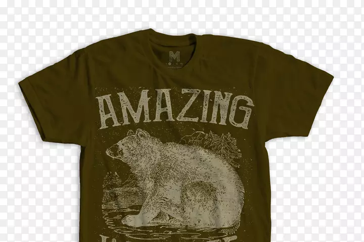 t��ģ��-��ʽt��-������