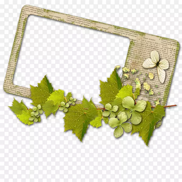 ���Ĳ������ʦ-����ͼ�������߻���-������