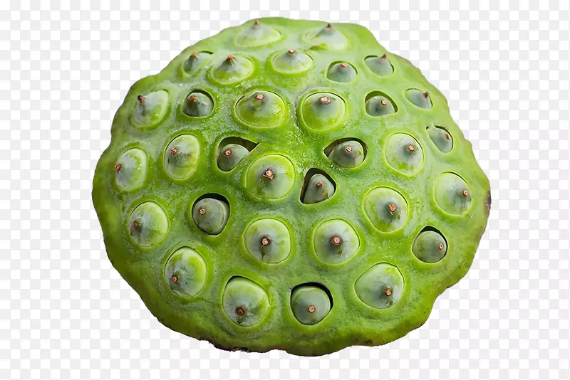 ������Ӱ-������Ӱ-������