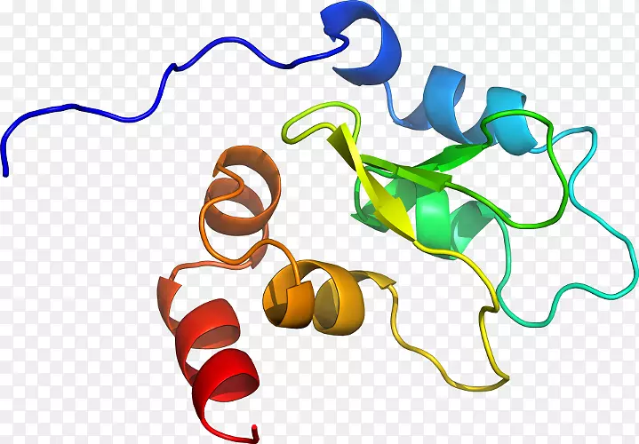 ���������л����߼�������-������